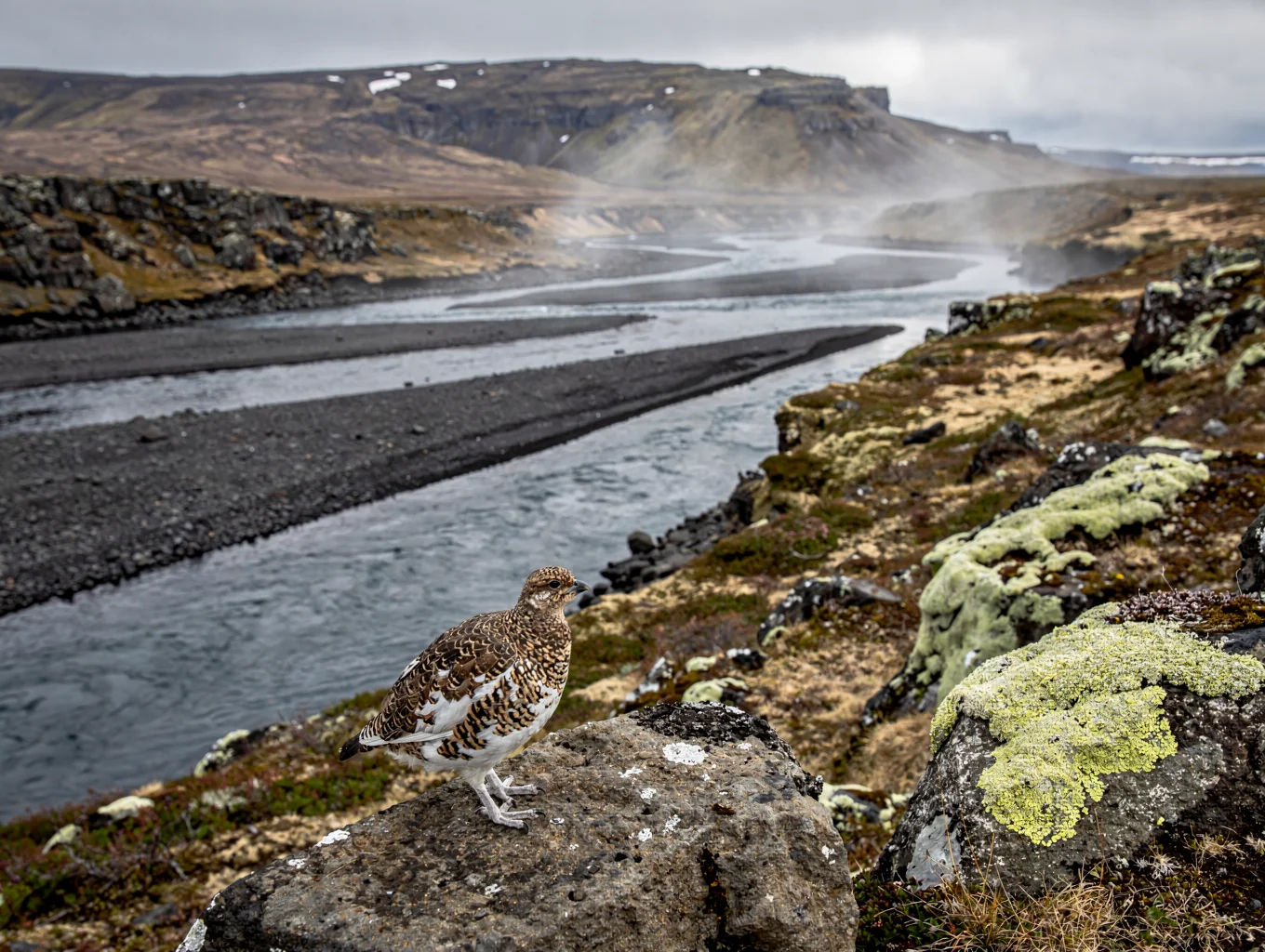 Aerial view of braided glacial rivers in Iceland